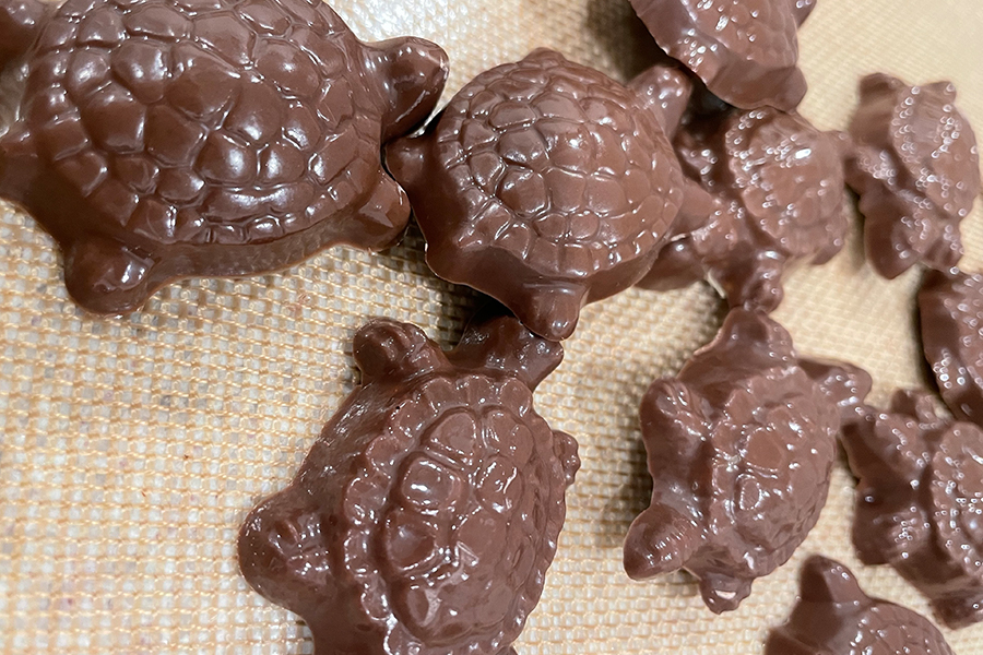 Chocolate turtles