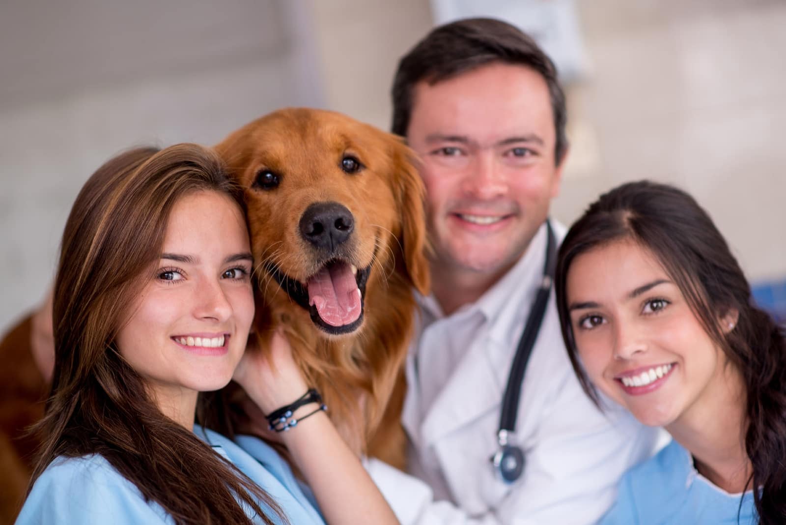 Routine Wellness Care at University Veterinary Care Center