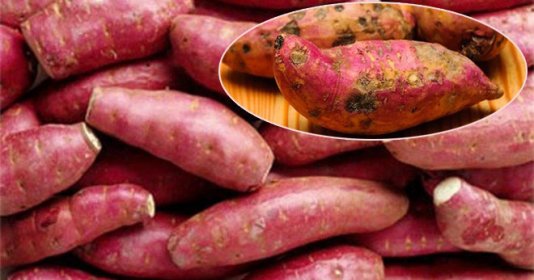 Kể cả khi rửa sạch vỏ khoai cũng cần bóc vỏ trước khi ăn. Ảnh minh họa
