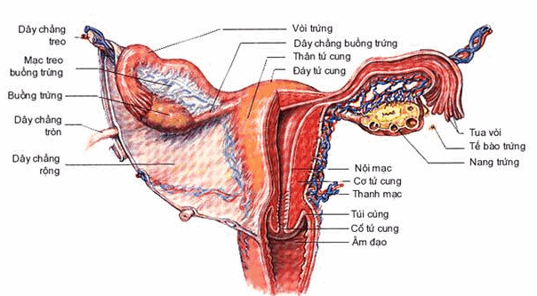Tuổi già cũng cần “thăng hoa” - 2