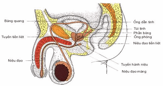 Tuổi già cũng cần “thăng hoa” - 1