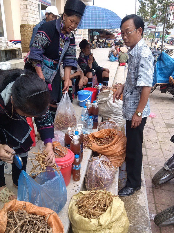 Một khu chợ bán ba kích ở Tây Bắc