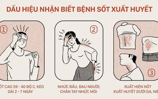 Cả nước 19.710 trường hợp mắc sốt xuất huyết, khi mắc có cần nhập viện? - 1