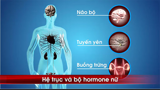 Sextoy: Lợi ít, hại nhiều