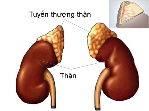 Lười sinh hoạt vợ chồng: Được 1 mất 5 - 1