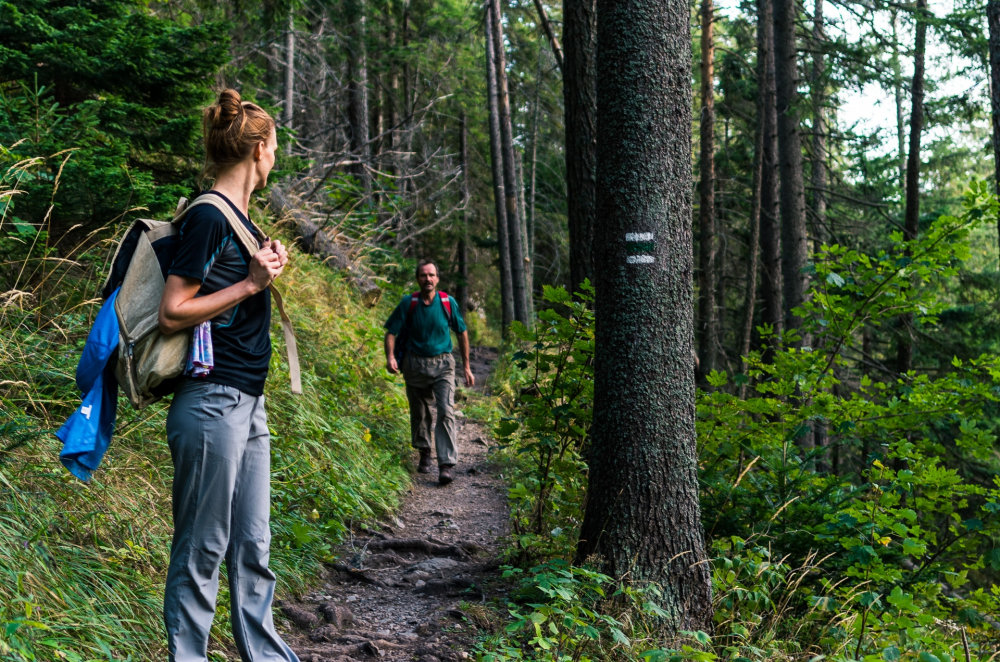 Hiking-Guide-Featured