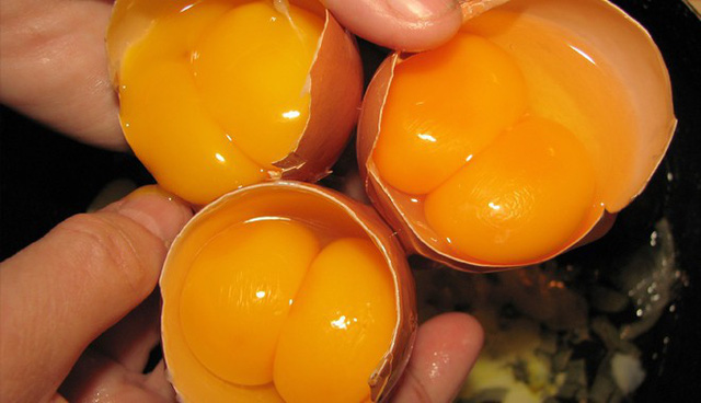 Trứng hai lòng không bổ hơn trứng thường, ảnh minh họa.