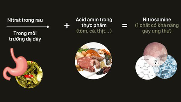 Sơ đồ minh họa quá trình biến đổi thành chất gây ung thư của dưa
