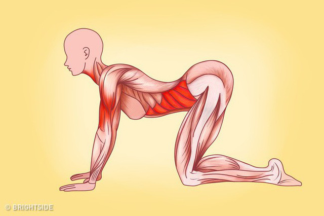 7 bài tập của người Nhật đem lại cho người phụ nữ một cơ thể hoàn hảo đến không ngờ - Ảnh 1.