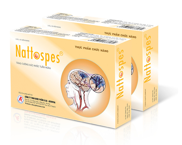 Đột quỵ và phương pháp cải thiện hiệu quả nhờ Nattospes - Ảnh 4.