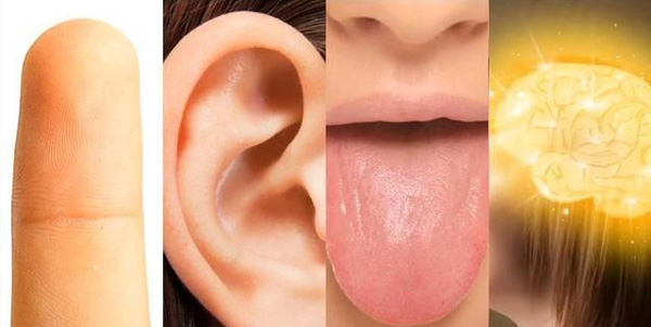 8 điều kỳ diệu về cơ thể con người khiến bạn khó tin - Ảnh 8.