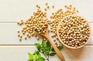 Tumolung - Giải pháp vàng hỗ trợ điều trị cho người bị u phổi - Ảnh 2.