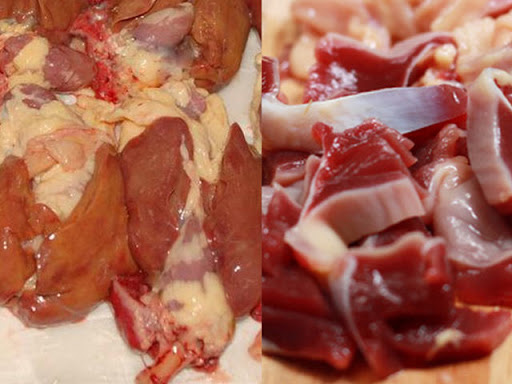 Chuyên gia chỉ rõ 4 bộ phận gà tưởng ngon nhưng chứa đầy mầm bệnh, nên ăn hay vứt bỏ? - Ảnh 3.