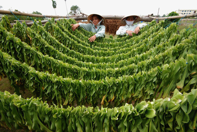 Làm thế nào thoát khỏi “cơn ác mộng” đi tiểu nhiều lần về đêm? - Ảnh 1.