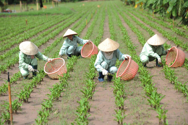 Làm thế nào thoát khỏi “cơn ác mộng” đi tiểu nhiều lần về đêm? - Ảnh 2.