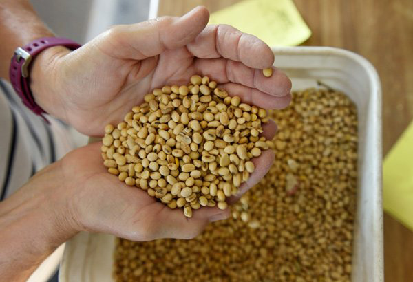 7 loại rau củ giàu protein không kém gì thịt, cá thậm chí còn nhiều hơn - Ảnh 2.