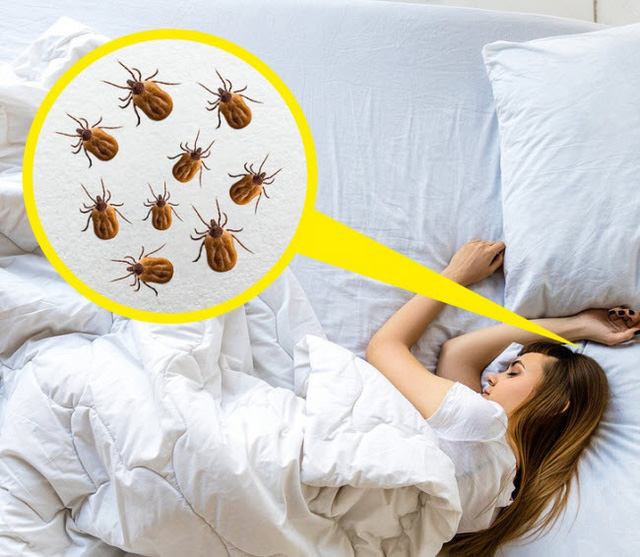 6 cách vệ sinh sai lầm cần dừng ngay lập tức - Ảnh 4.