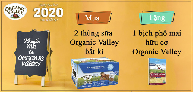 Bí quyết vui khỏe dịp tết cho cả gia đình - Ảnh 2.