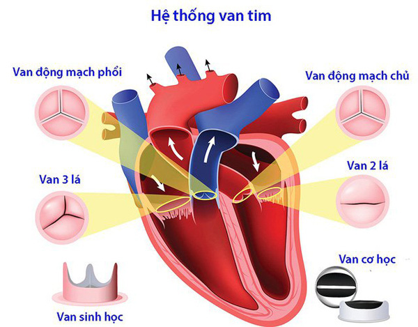 Cô gái tử vong ở tuổi 24 vì chỉ ăn cơm trộn ớt mỗi ngày - Ảnh 3.