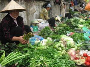 Những bài thuốc hay giữ sức khỏe dịp Tết cho những người “sợ lắm những ngày trở trời” - Ảnh 2.