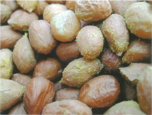 5 vật dụng tiềm ẩn nguy cơ gây ung thư khủng nhất trong bếp nhà bạn - Ảnh 2.