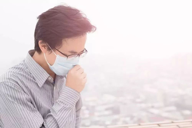 Bật mí loại thảo dược quý sẽ giúp đường hô hấp khỏe mạnh hơn khi thời tiết trở lạnh - Ảnh 1.
