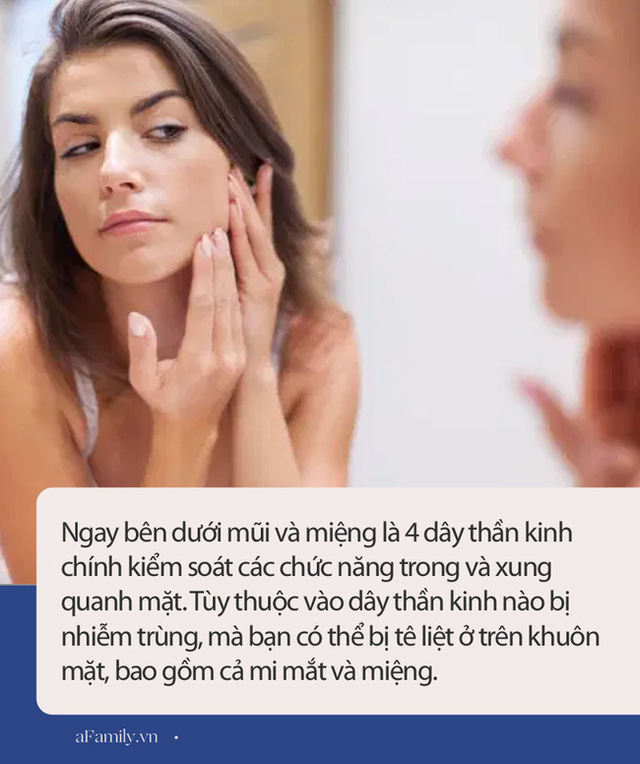 Có một vùng gọi là tam giác tử thần trên mặt, nếu bị mụn ở đó thì tốt nhất đừng động vào nếu không muốn bị liệt mặt, méo miệng - Ảnh 5.
