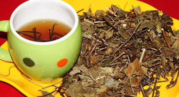 Nước vối có rất nhiều lợi ích nhưng nếu làm những điều này khi uống nó có thể biến thành chất độc - Ảnh 1.