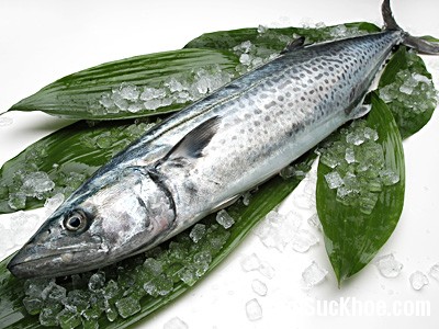 ca1 Ăn cá biển tốt cho sức khỏe