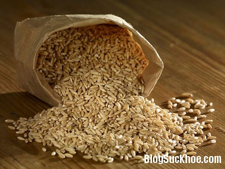 ngu coc Những hiểu lầm về cholesterol