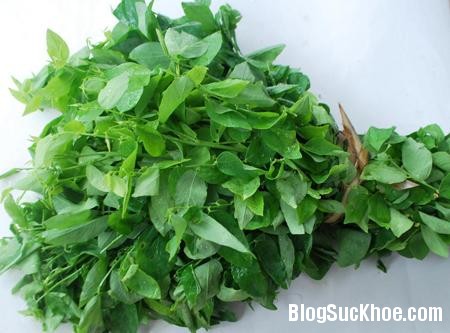 Rau ngót đánh thức khả năng tình dục