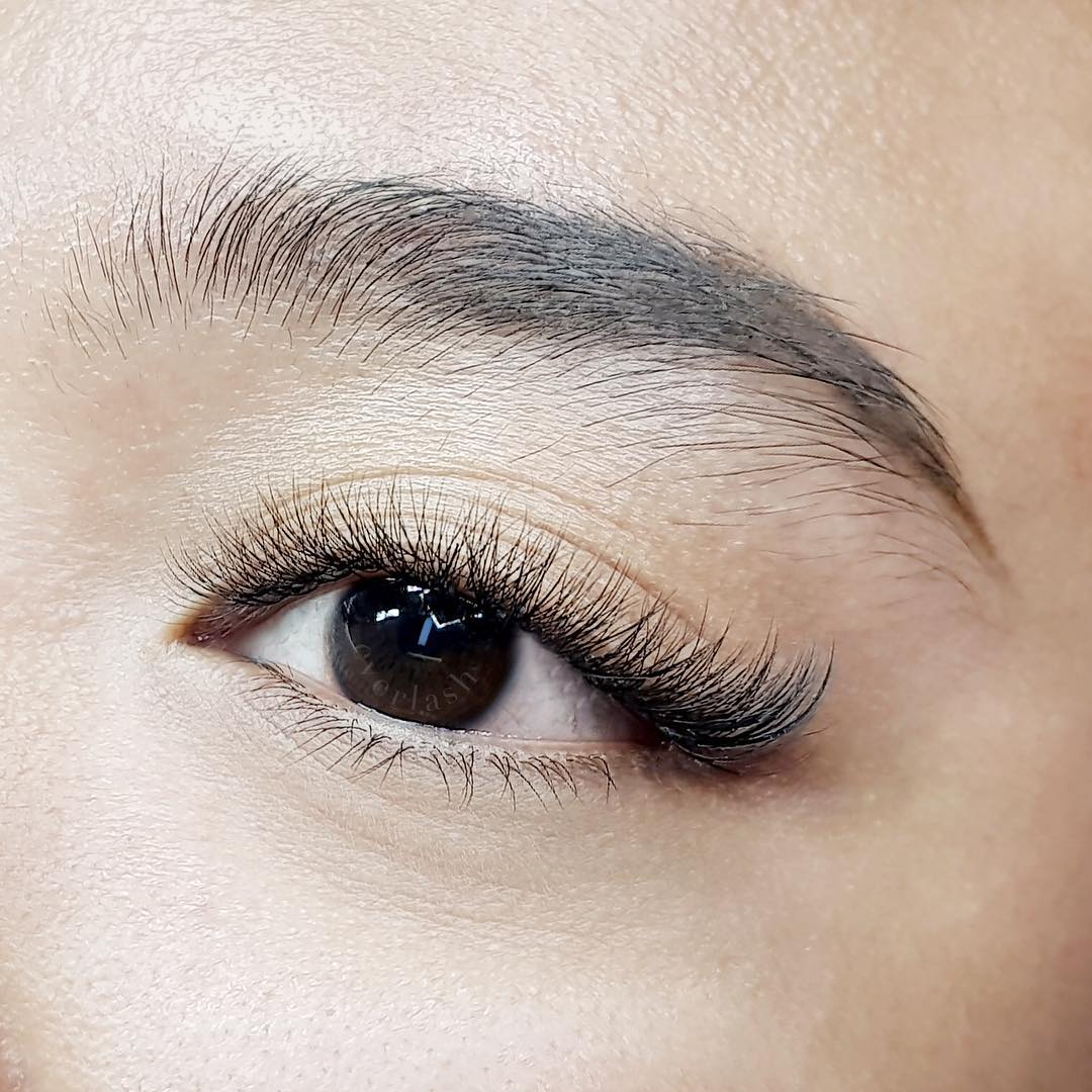 Eyelash Extension Everlash Lash Expert