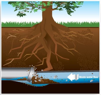 sewer-pipe-repair-replacement-st-louis