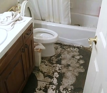 toilet4