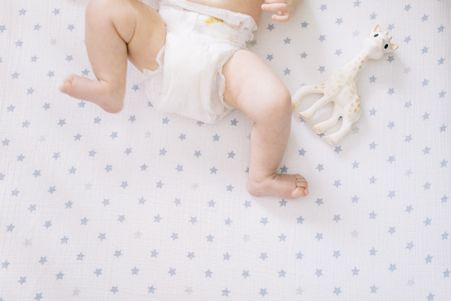Ottawa Family Photographer