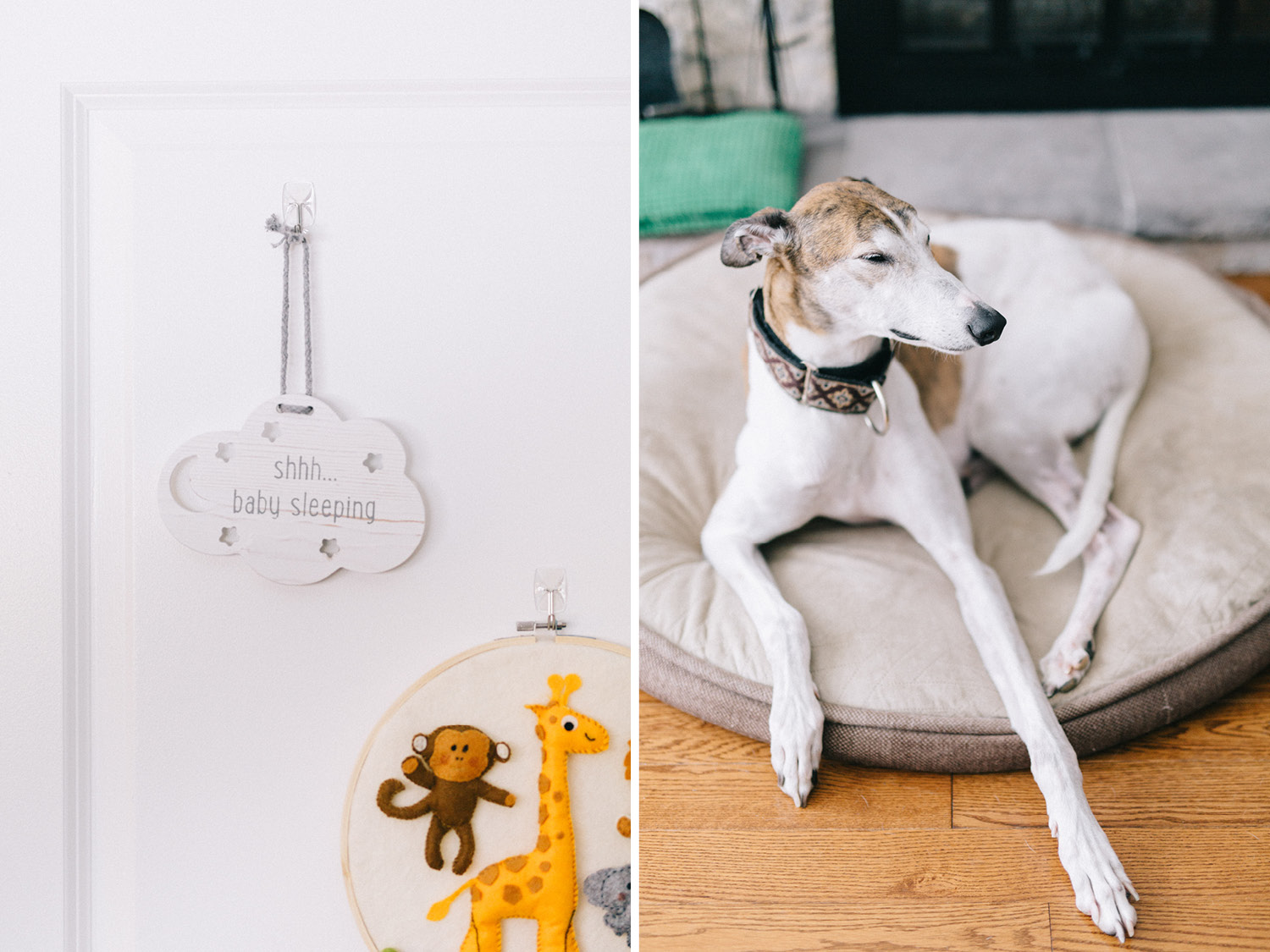 Ottawa Family Photographer
