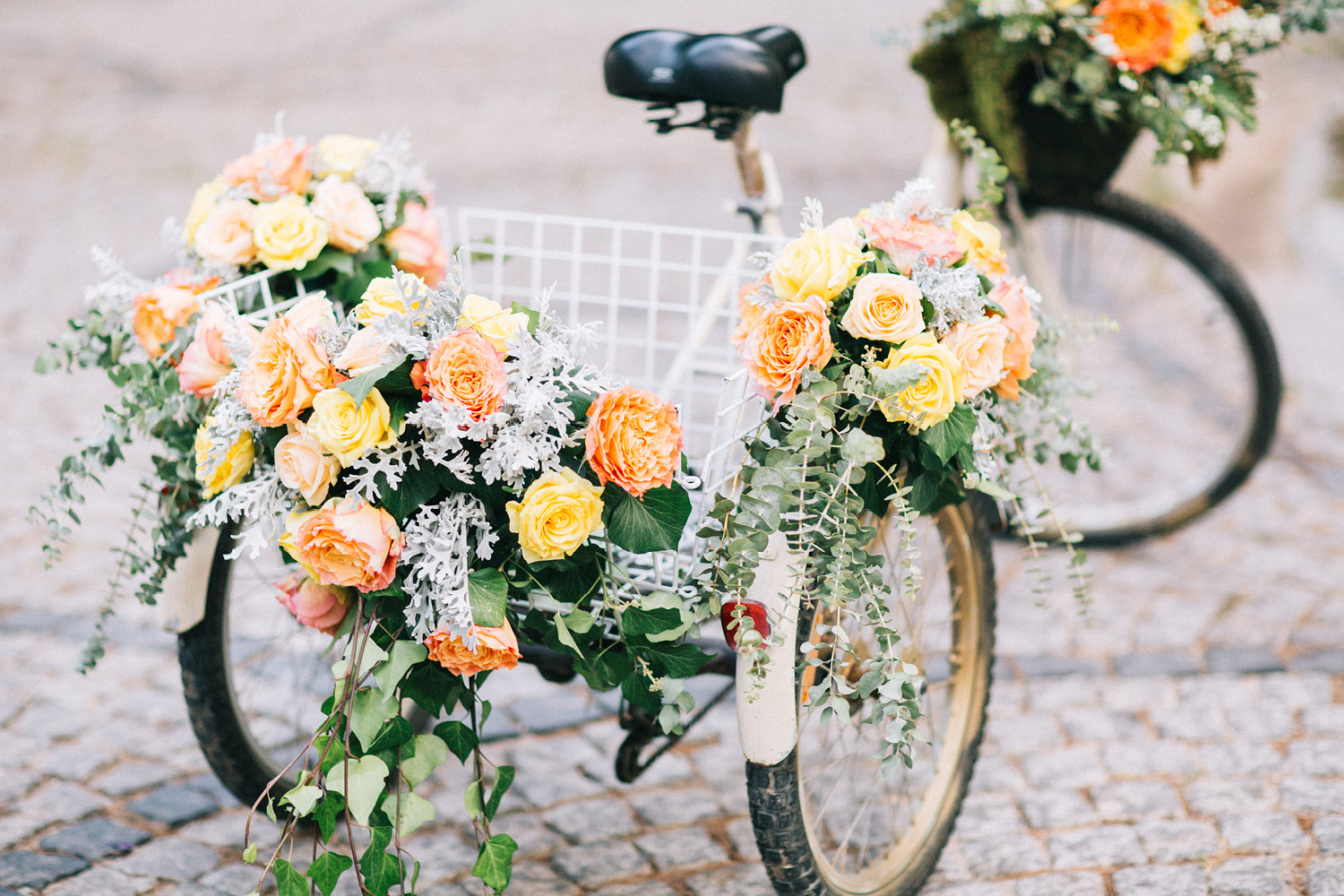 Elopement Wedding Photographer