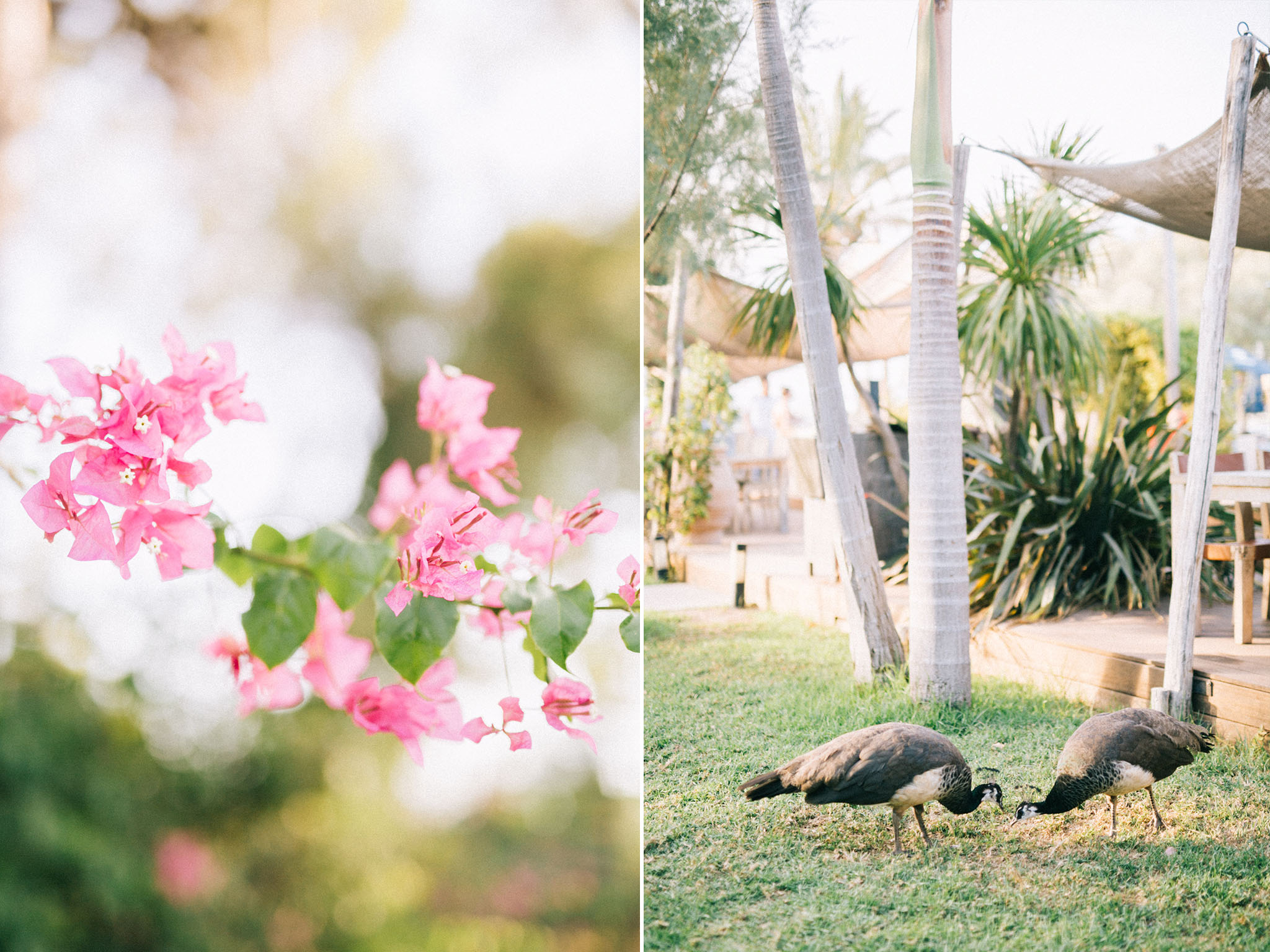 Athens Greece Wedding Photographer