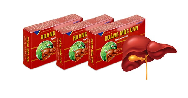 【Review】Hoàng Mộc Can là gì? Có thực sự hiệu quả?