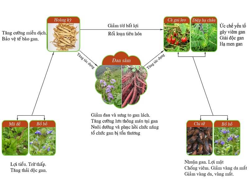 Phương pháp cân bằng trong Hoàng Mộc Can