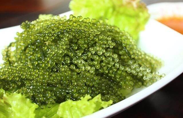 Rong nho là gì?