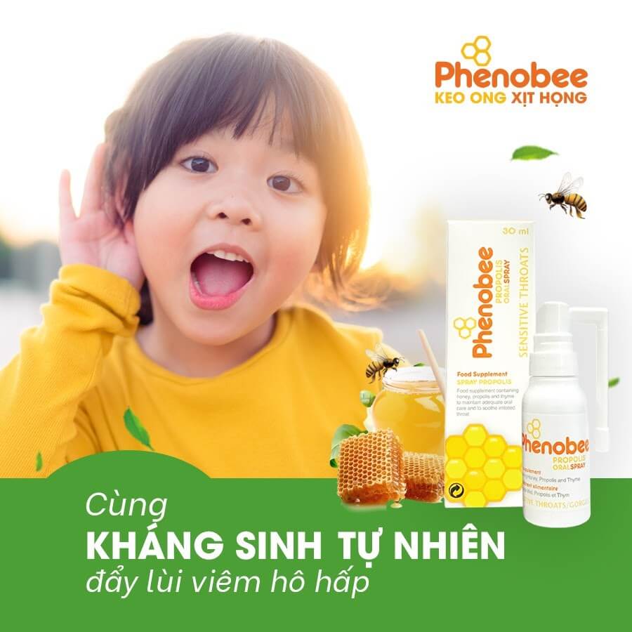 Keo xịt họng, giảm ho Phenobee