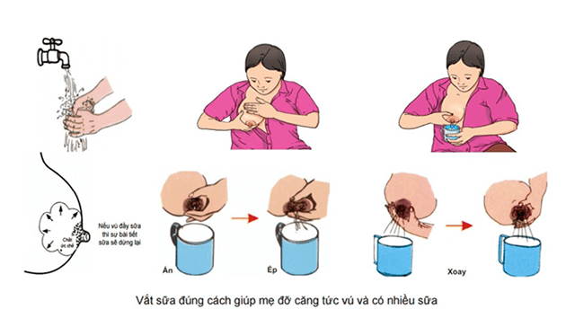 cách vắt sữa mẹ