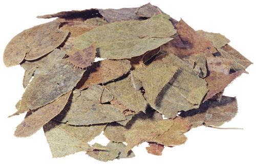 Cao khô dâm dương hoắc