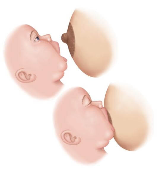 Kỹ thuật cho trẻ ngậm bắt vú và bú chính xác, hiệu quả