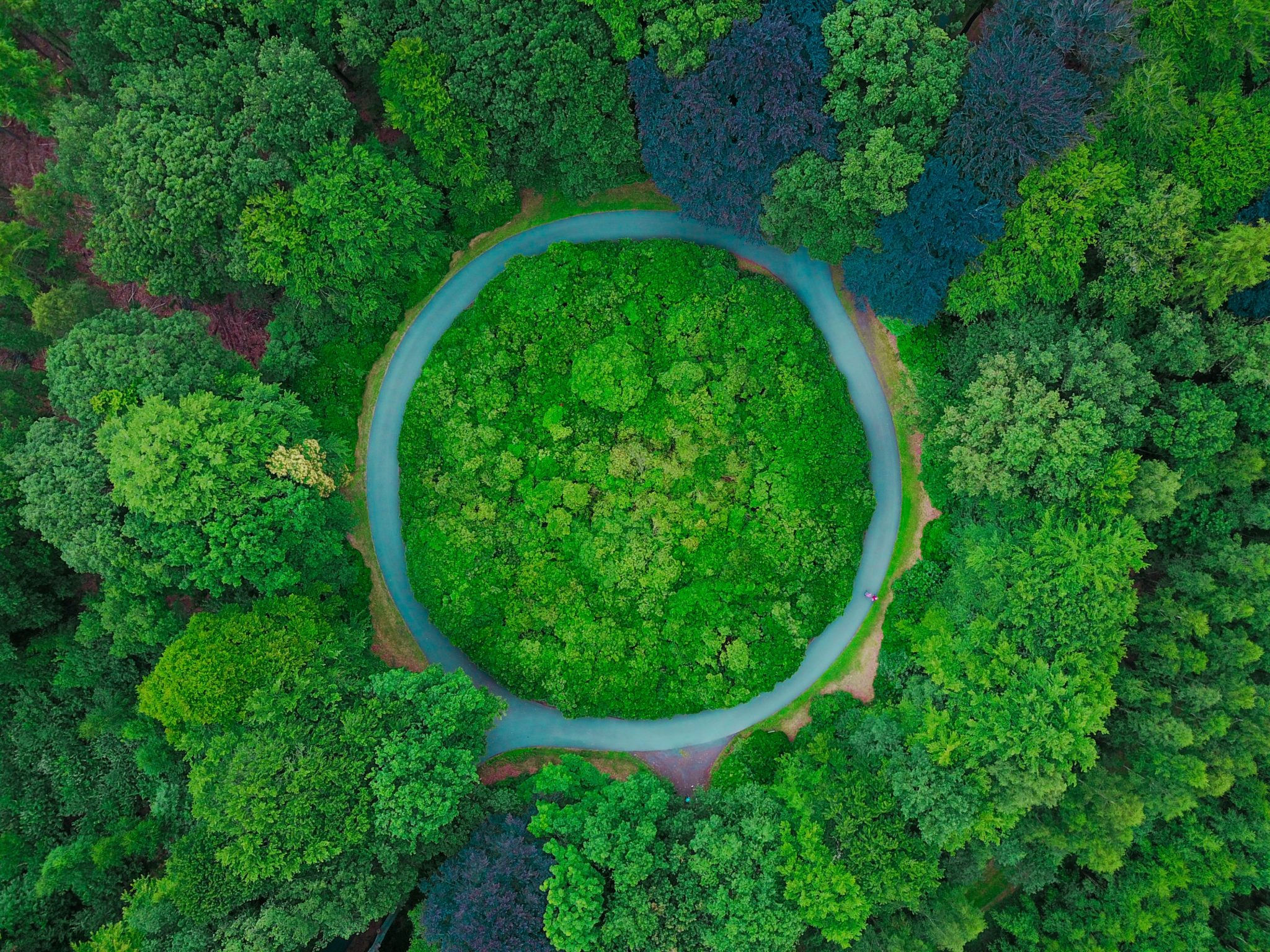 Perfect Circles In Nature