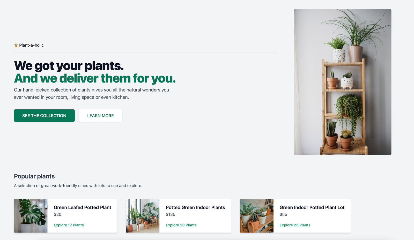 our ‘Plant-a-holic’ example extended