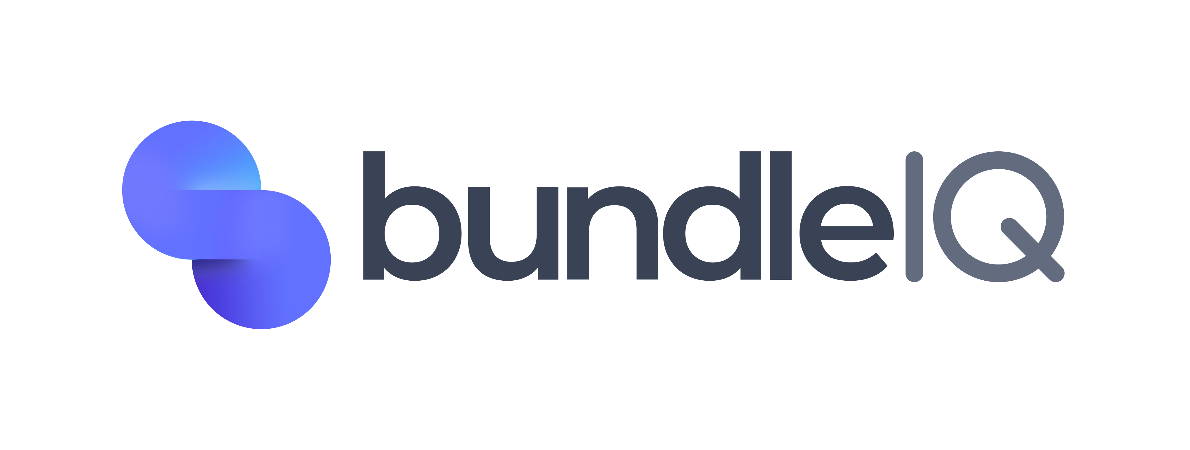 bundleIQ logo two