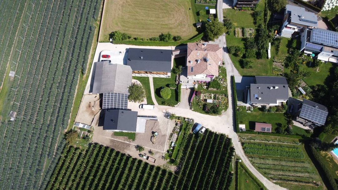 Weingut Pfaffl Austrian Pepper Gruner Veltliner main image 1