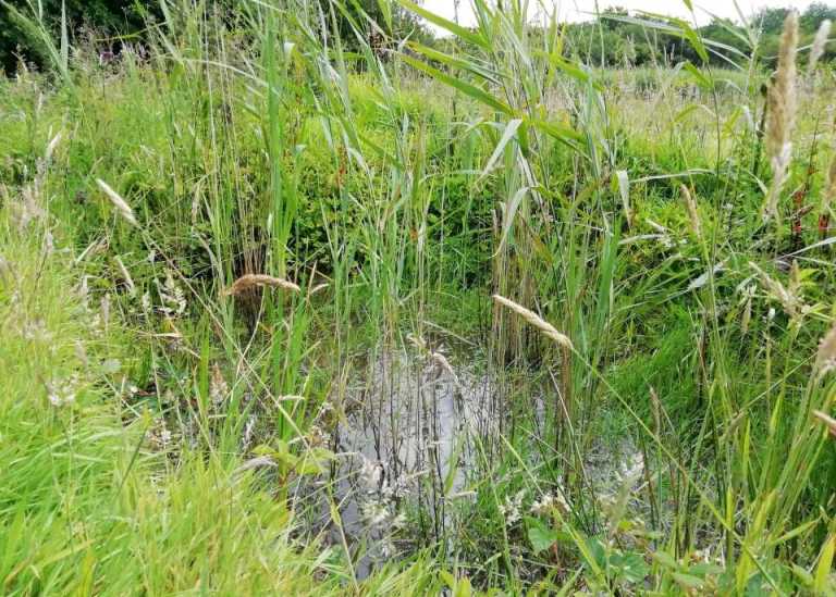 2020 Award Winners Businesses North Devon Biosphere